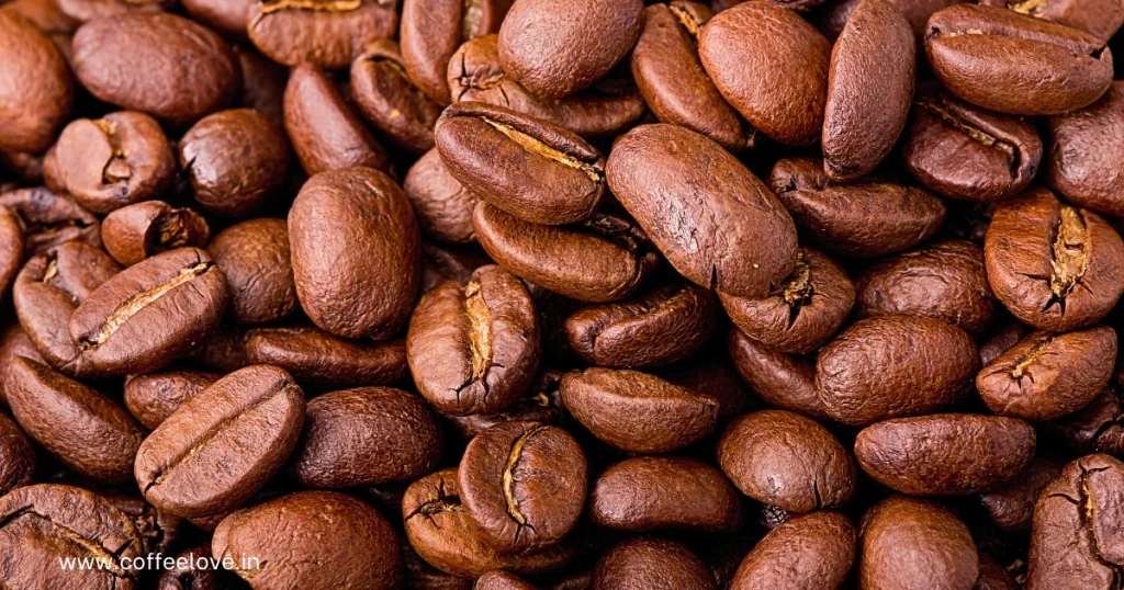 Arabica type coffee in india