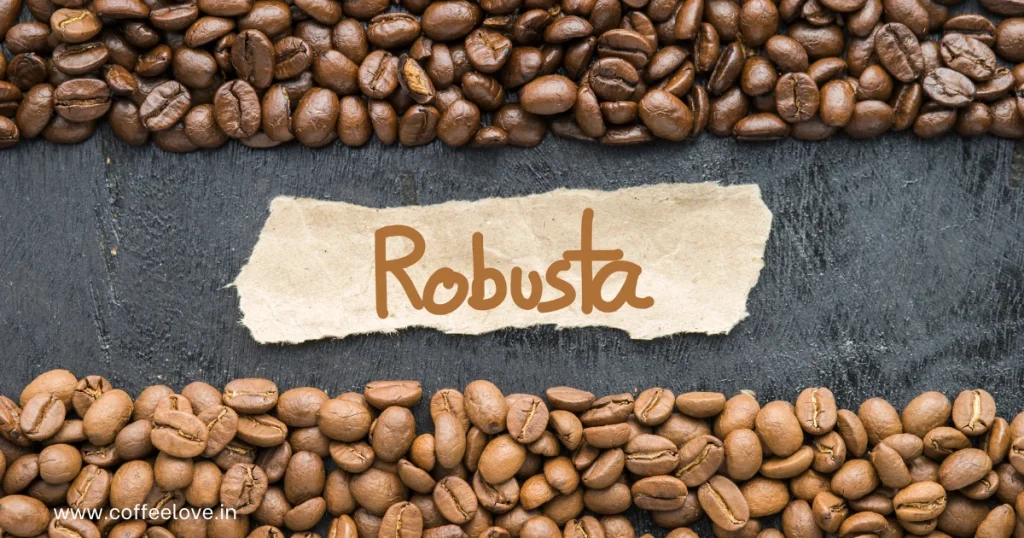 Robusta coffee in India
